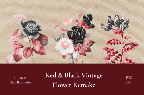 Download Red and Black Vintage Flower Remake - Red and black Collection